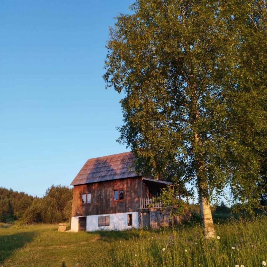 Vukov Konak - Wolf'S Lodge Žabljak Екстериор снимка