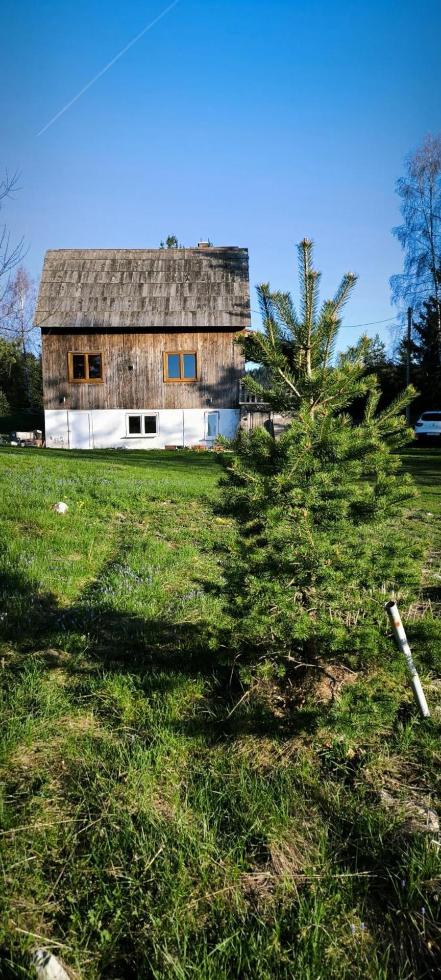 Vukov Konak - Wolf'S Lodge Žabljak Екстериор снимка